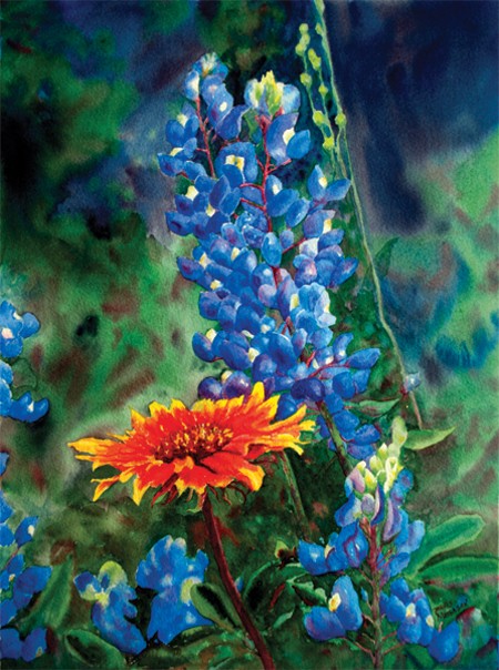 Indian Blanket and Blues
