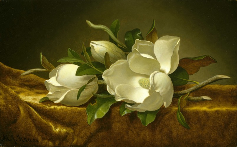 Magnolias on Gold Velvet